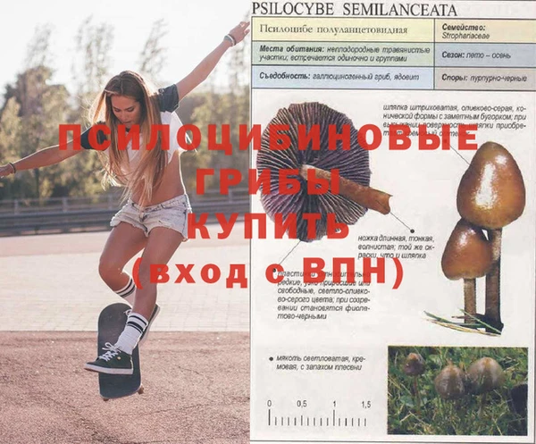 мдма Богородицк