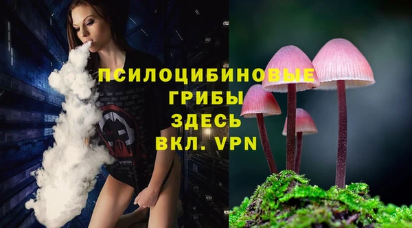 MESCALINE Богданович
