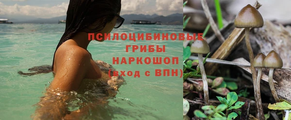мдма Богородицк